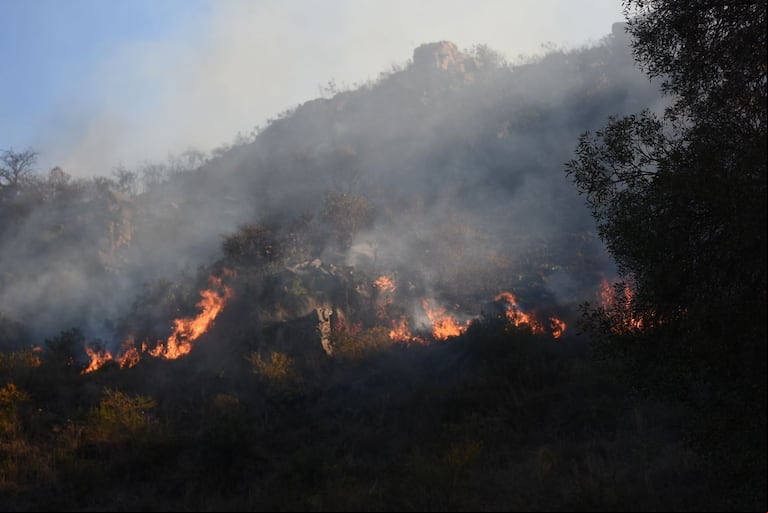 La relación entre el INTA y la ARSCH comenzó en 2020 tras los incendios que devastaron más de 300.000 hectáreas en Córdoba. (Foto: Lucio Casalla / ElDoce.tv).