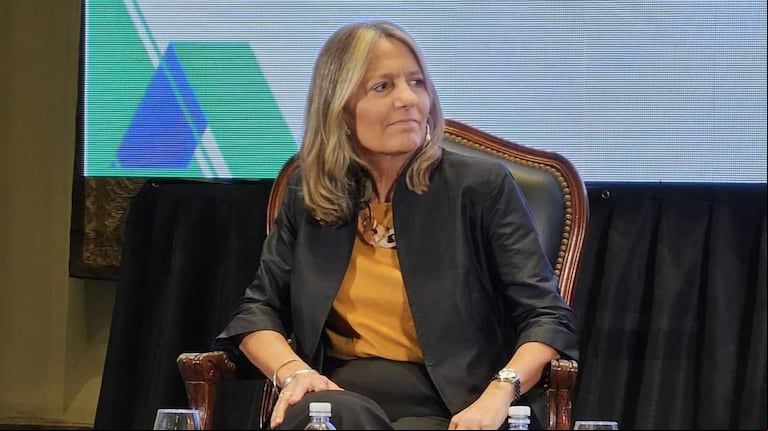 La secretaria de Energía habló sobre los posibles cortes de luz en el verano (Foto: Secretaría de Energía)
