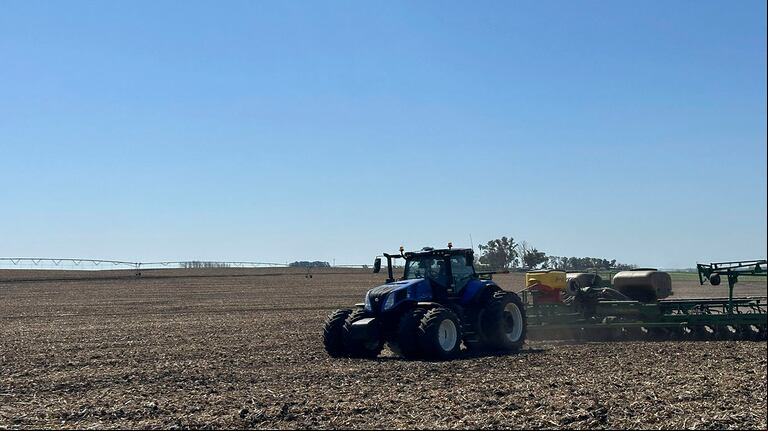 La siembra de maíz con destino grano finalizó esta semana en toda el área agrícola, alcanzando las 6,6 millones de hectáreas estimadas. (Foto: X ErroJuanma).