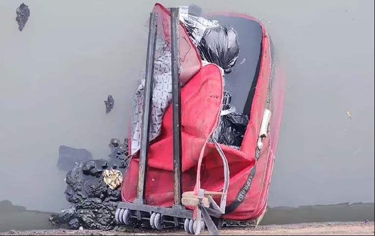 La valija roja donde encontraron los restos de Fernando Pérez Algaba. (Foto: MPF)