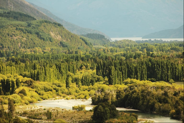 Lago Puelo se encuentra en una zona de transición entre dos ecosistemas muy distintos. (Foto: La Ruta Natural)
