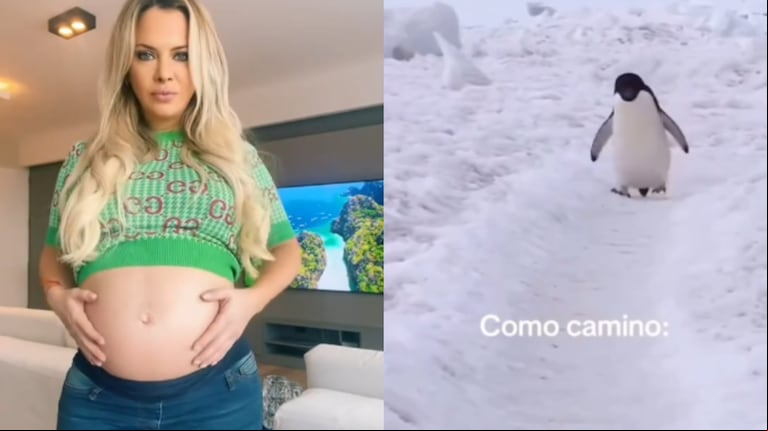 Las comparaciones que hizo Alejandra Maglietti en el video que subió a sus redes. (Foto: captura Tiktok/alemaglietti)