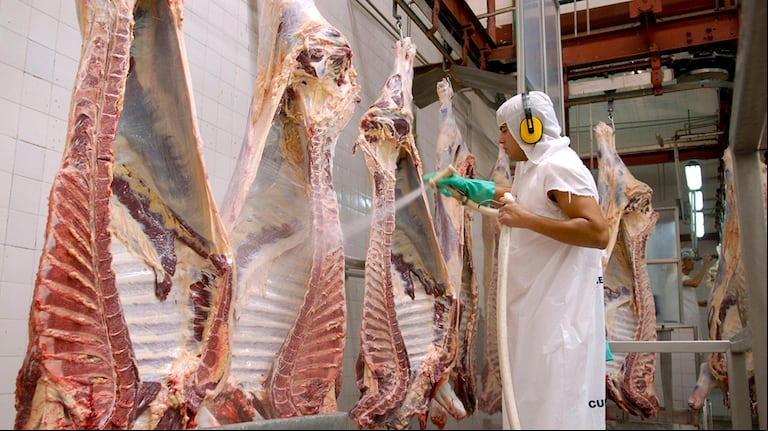 Las exportaciones de carne bovina refrigerada y congelada han aumentado un 15% en los primeros 10 meses del año, generando cerca de U$S2500 millones, según informó el Consorcio de Exportadores de Carnes Argentinas (ABC).