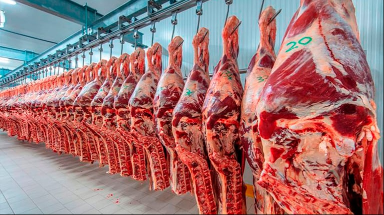 Las exportaciones del mes de abril de 2025 alcanzaron un volumen cercano a las 52,1 mil toneladas peso producto de carne bovina refrigerada y  congelada. 
