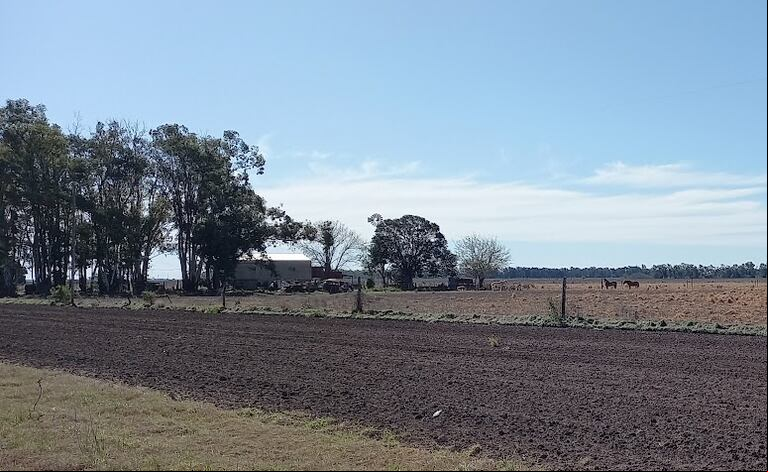 Las inmobiliarias rurales anunciaron su respaldo al “Pacto de Julio” convocado por el presidente Javier Milei. En un comunicado, la CAIR expresó su apoyo a esta iniciativa. (Foto: TN).