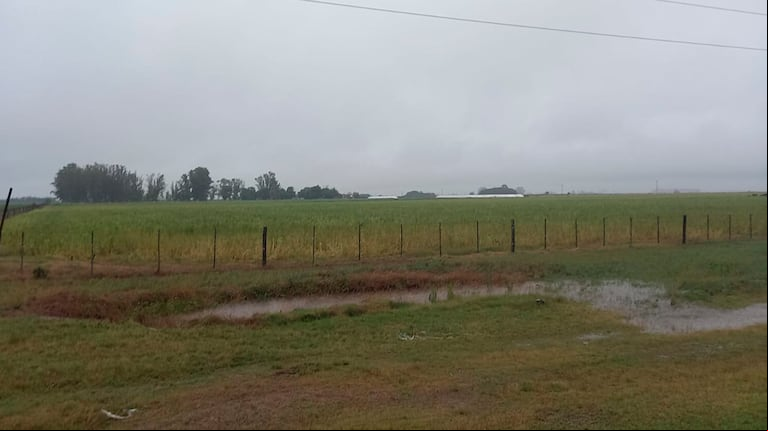 Las lluvias se concentrarán sobre el centro y el este del área agrícola entre el 27 de marzo y el 2 de abril. (Foto: TN)
