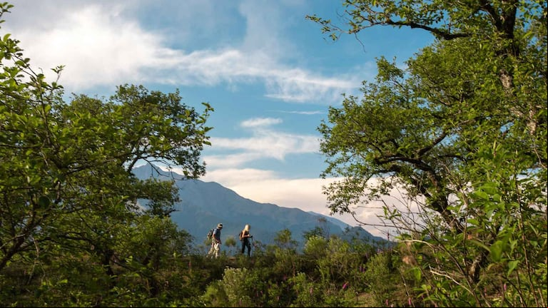 Las maravillas ocultas de las yungas jujeñas: el tesoro del Norte Argentino. (Foto: La Ruta Natural / Turismo Nación)