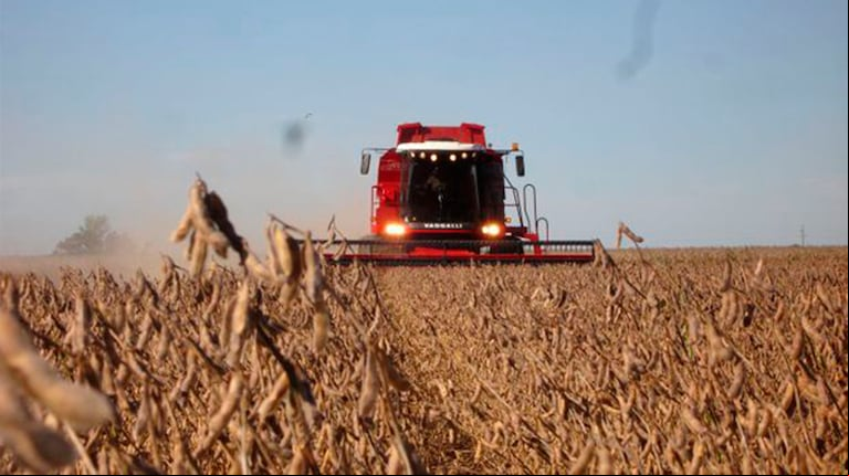 Las principales diferencias de rentabilidad entre zonas se deben a la productividad de la tierra (rendimientos de cultivos), las distancias al puerto (costo del transporte de cargas) y los distintos requerimientos de insumos y labores, según la ubicación geográfica.