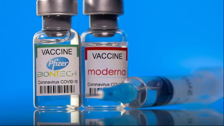 Las vacunas de Pfizer y Moderna (Foto: Reuters)