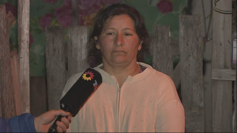 Laudelina Peña durante una entrevista con TN, antes de ser detenida. (Foto: captura TN)