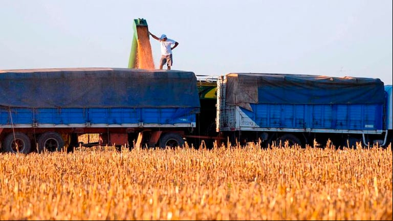 Legisladores y productores pidieron que el ahorro por la suspensión de las PASO se destine a bajar retenciones al agro. (Foto: La Voz).