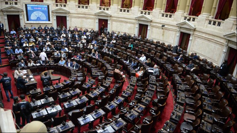 Lo importante para Milei es mostrar la victoria de la ley de Bases, al igual que el paquete fiscal que va a tratar la misma Cámara de Diputados. (Foto: Presidencia Diputados)