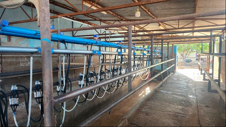 Los créditos otorgados permitirán a los productores tamberos adquirir equipamiento como sistemas de ordeño robóticos y automatización de salas. (Foto: Gobierno de Córdoba).