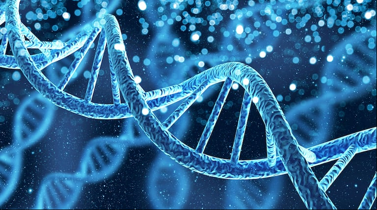 Los genes pueden influir en la forma en que se obtiene energía de los nutrientes. (Foto: Adobe Stock)