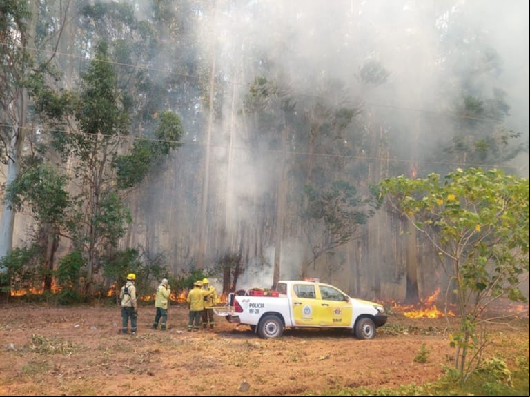 Los incendios en Corrientes arrasaron con miles de hectáreas en medio de una severa sequía. (Foto: gentileza Gobierno de Corrientes).