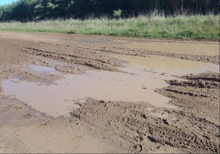 Los productores criticaron que se gasten millones en carnavales mientras los caminos siguen intransitables. (Foto: Facebook Mario Eduardo Crapanzano Martinez).