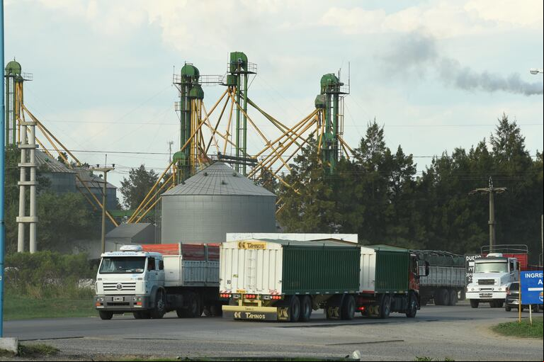Los productores de granos han mantenido un buen ritmo de ventas incluso en estos meses de habitual "temporada baja" y la afluencia de camiones a los puertos redunda en una buena liquidación de divisas en beneficio de la economía argentina.