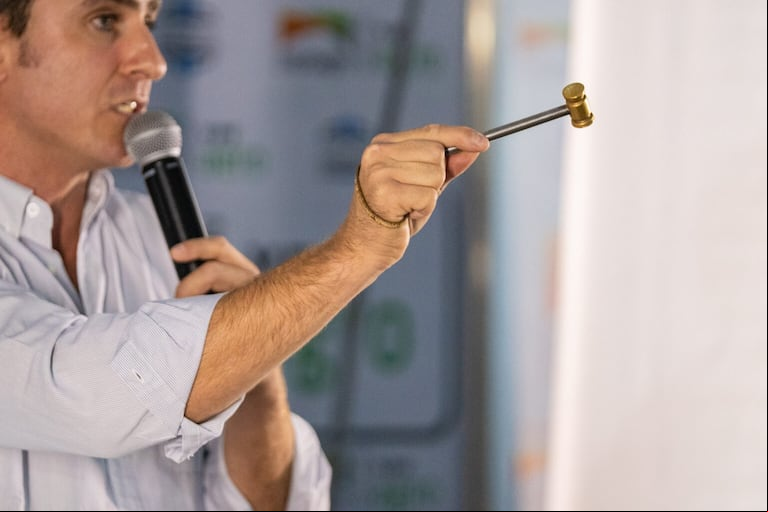 Los remates ganaderos en Expoagro 2025 alcanzaron un récord con ventas por US$ 100 millones y 150.000 cabezas comercializadas. (Foto: Expoagro).