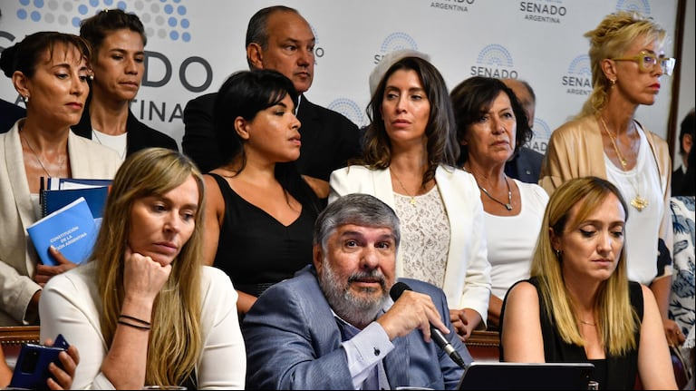 Los senadores de Unión por la Patria le reclamaron a la vicepresidenta Victoria Villarruel que convoque a sesión en la Cámara Alta para debatir el DNU. (Foto: Télam/ Eliana Obregón)