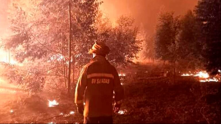 Los siniestros afectaron a más de un 10% de la superficie provincial.  (Foto: SRA de Corrientes)