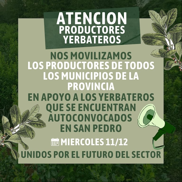 Los yerbateros vuelven a protestar en la ruta y piden “un precio justo”