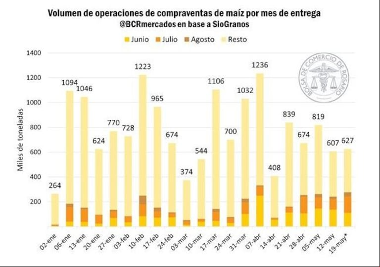 Maíz bcr