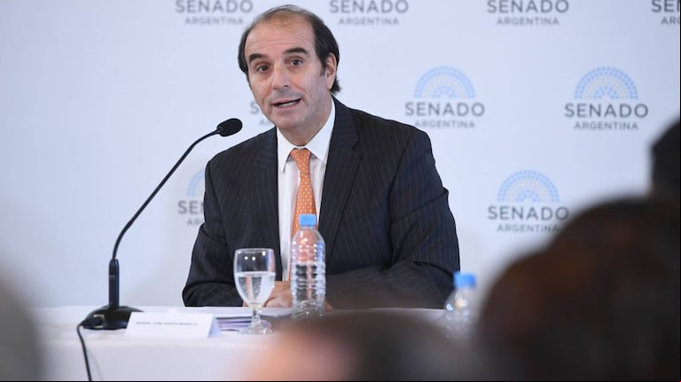 Manuel García-Mansilla (Foto: X @SenadoArgentina)