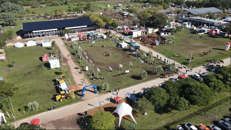 Más de mil animales en pista, remates, juras y jóvenes ganaderos fueron el alma de una edición histórica en la Sociedad Rural de Corrientes.(Foto: Expoagro).