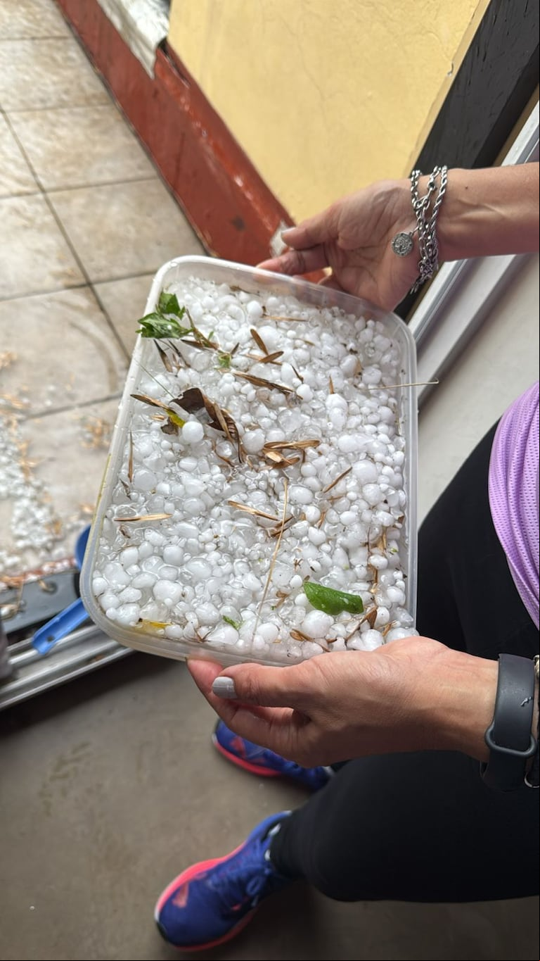 Más imágenes del granizo que cayó esta tarde en el AMBA. (Foto: TN y la Gente).