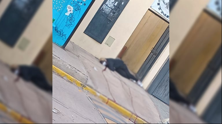 Mataron a una mujer en la puerta de un gimnasio en Moreno y su expareja está atrincherado (Foto: TN y la Gente)