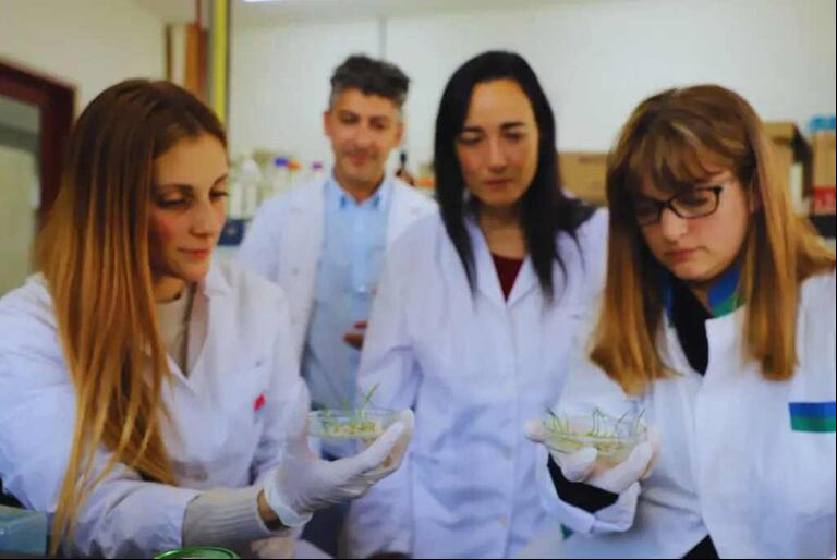 Micol Auteri, investigadora del INTA, destacó el desarrollo de vectores de edición personalizados para trigo, introducidos luego en las células mediante bombardeo de micropartículas. (Foto: INTA)