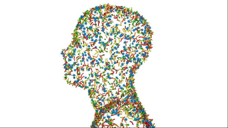 MICROBIOMA HUMANO. Engloba una comunidad ecológica de microorganismos.