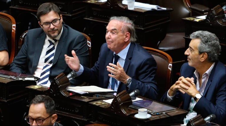 Miguel Pichetto, presidente del bloque en Diputados. (Foto: NA)