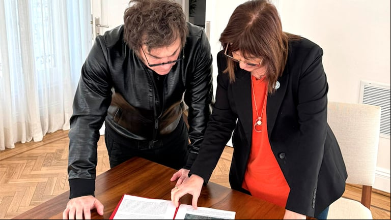 milei bullrich
