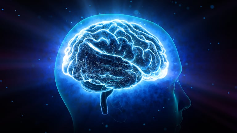 Ni correr ni meditar: este es el mejor ejercicio para la memoria, según la Universidad de Harvard (Foto: Adobe Stock).