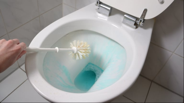 Ni el desodorante ni la limpieza: cómo hacer que tu baño huela bien siempre, sin gastar de más (Foto: Adobe Stock).