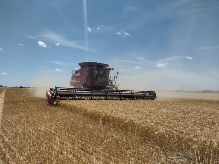 Para el presidente de YPF, el crecimiento de la industria energética es clave, pero el campo continuará siendo el principal motor exportador del país. (Foto: Mariano García).