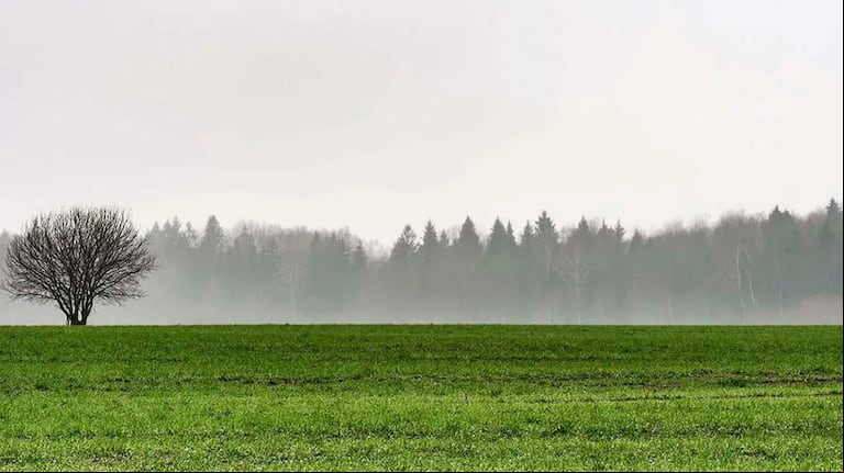 Para los próximos días se esperan fuertes lluvias sobre el norte de la región agrícola. (Foto: Adobe Stock)