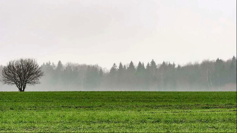 Para los próximos días se esperan lluvias intensas con focos de tormentas sobre el norte del área agrícola, mientras el resto de la región experimentará registros dispersos. (Foto: Adobe Stock)