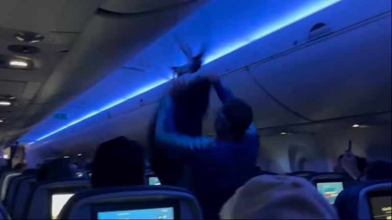 Parte de la secuencia registrada en el video. (Foto: captura de pantalla del video de Tom Caw / Instagram/@cawtom).