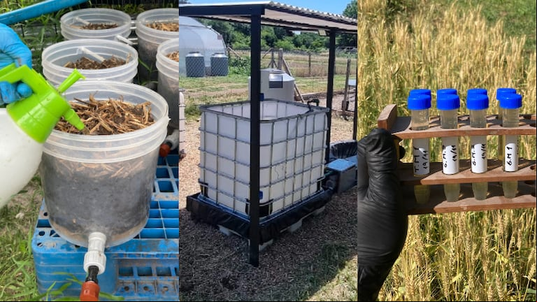 Permite degradar fitosanitarios en el agua de lavado de los equipos de aplicación. (Foto: FAUBA).