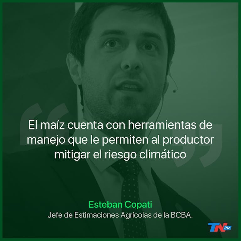 Proyectan una superficie récord de siembra de maíz