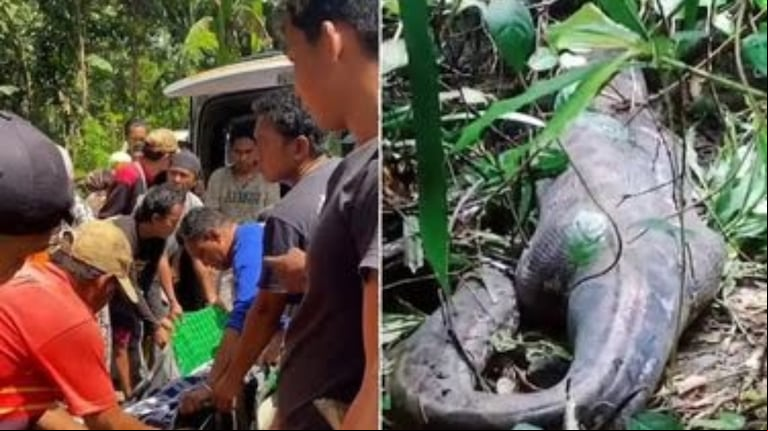 Qué dicen los expertos sobre el impactante hecho que ocurrió en Indonesia. (Foto: captura video foxnews.com)