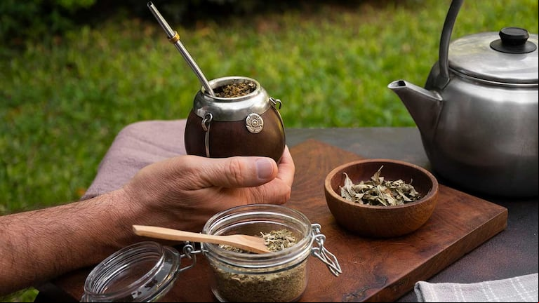 Qué hace un sommelier de yerba mate (Foto: Freepik)