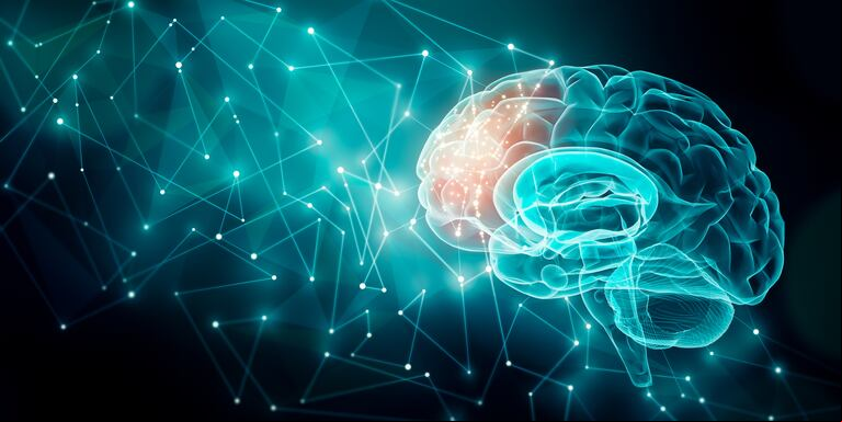 Quienes logran poner en pausa los pensamientos reflejan el patrón de actividad cerebral denominado Default Mode Network (DMN). (Foto: Adobe Stock)