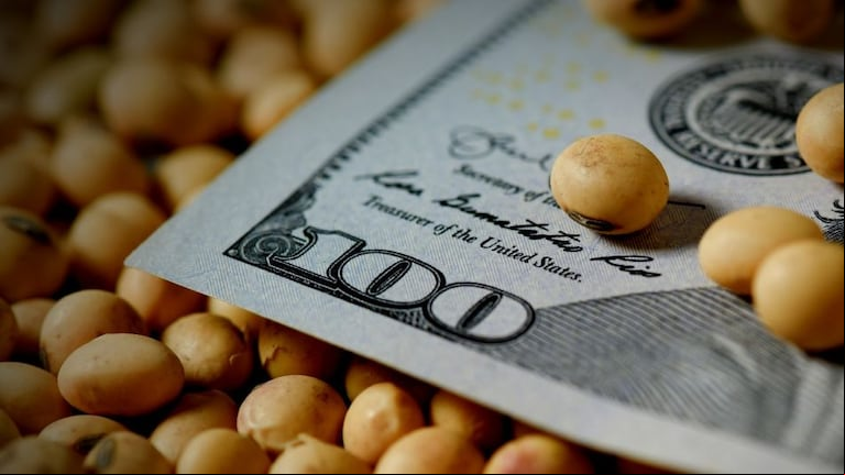 Roulet destacó que, con 18 millones de hectáreas de soja, el gobierno podría recaudar unos US$7.700 millones, representando casi el 80% de las retenciones totales. (Foto: BCCBA).