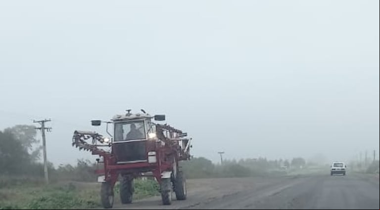 Santa Fe realizó más de 80 actas por incumplimiento a la ley de fitosanitarios
Las infracciones se constataron durante controles de oficio. (Foto: TN).
