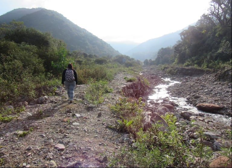Se puede hacer trekking y senderismo en Chorro de Varas, en Jujuy. Foto: Instagram @yala.jujuy