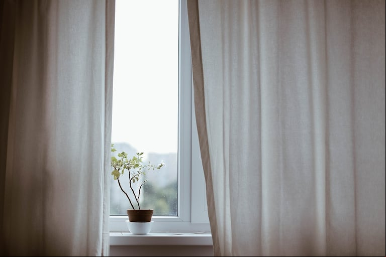 Se recomienda que las plantas estén lejos de equipos que generen calor. (Foto: Pixabay)