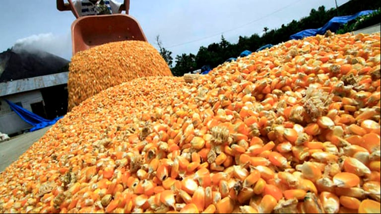 Según los datos del Departamento de Agricultura de Estados Unidos (USDA, por sus siglas en inglés), en la campaña 2023/24, China fue el mayor importador de trigo (incluyendo harina), maíz, sorgo y cebada. (Foto: Télam)